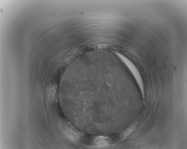 X0000065260222200602211258