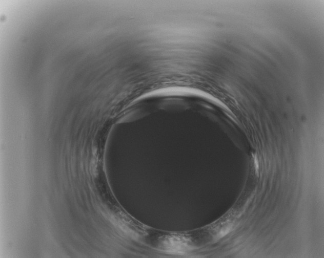 X0000065260223200602211258