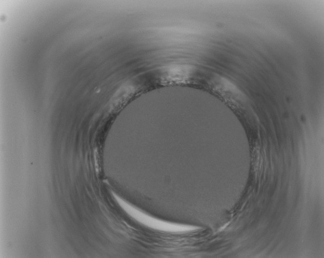 X0000065260224200602211258