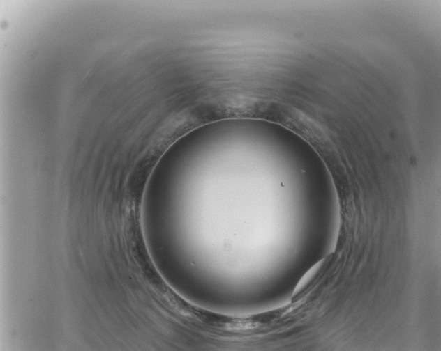 X0000065260225200602211258