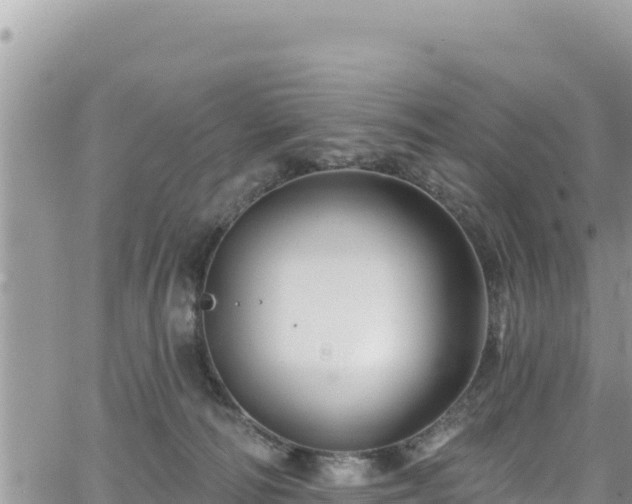 X0000065260226200602211258