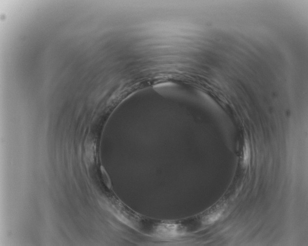 X0000065260227200602211258