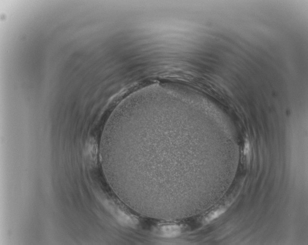 X0000065260228200602211258