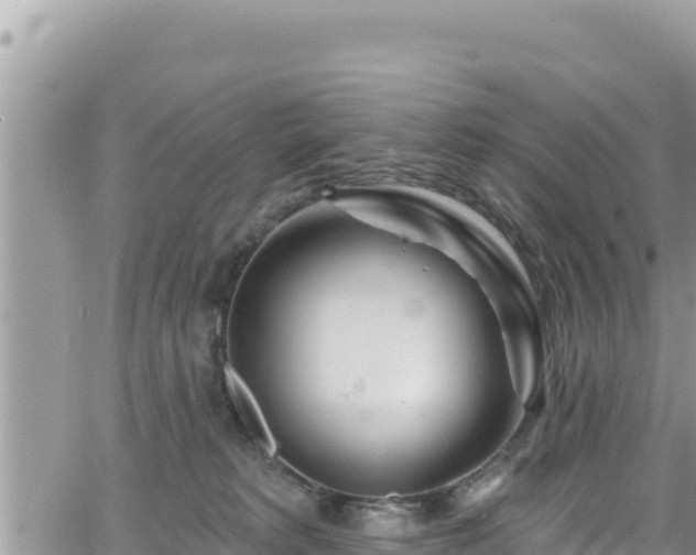 X0000065260229200602211258