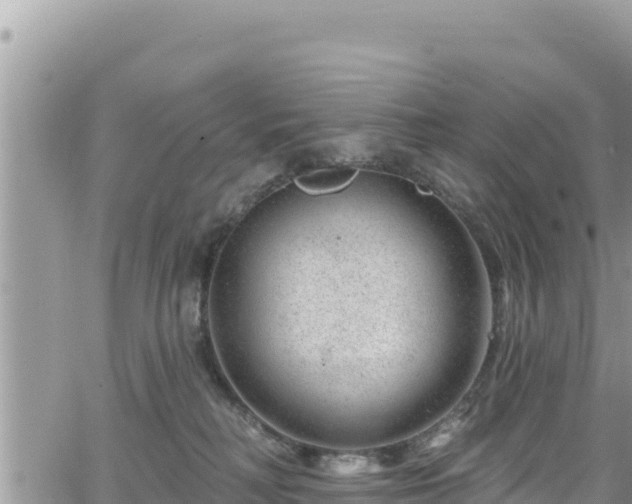 X0000065260230200602211258