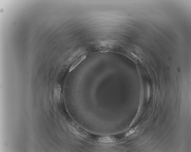 X0000065260231200602211258