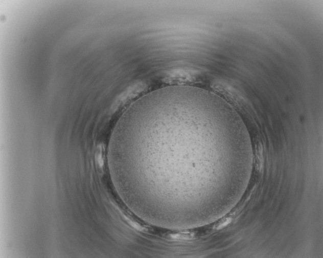 X0000065260232200602211258