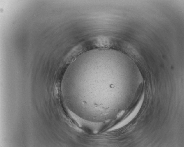 X0000065260233200602211258