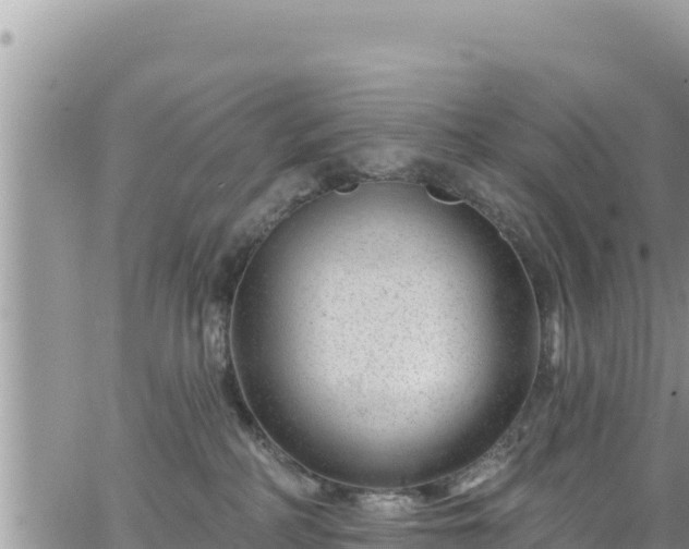 X0000065260234200602211258