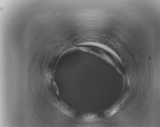 X0000065260235200602211258