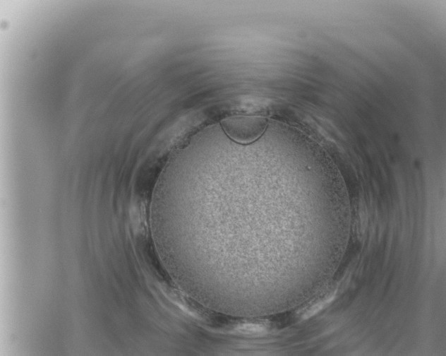 X0000065260236200602211258