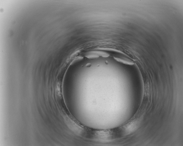 X0000065260238200602211258