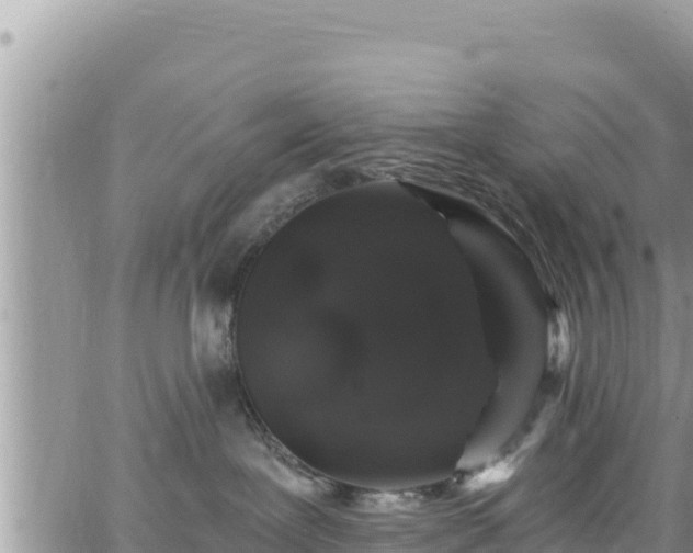 X0000065260239200602211258