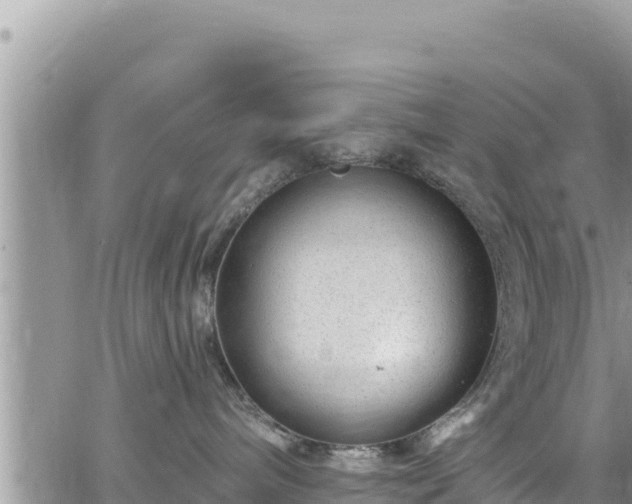 X0000065260240200602211258