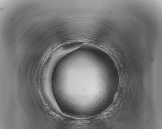 X0000065260241200602211257