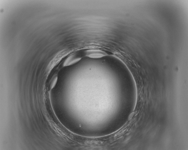 X0000065260242200602211257