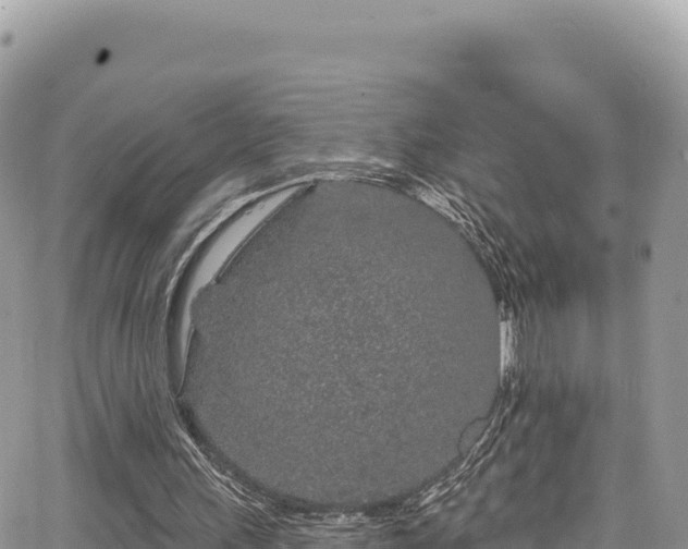 X0000065260243200602211257