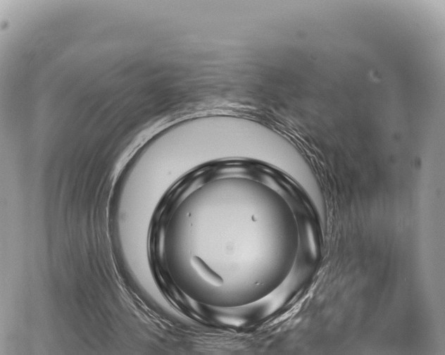 X0000065260244200602211257