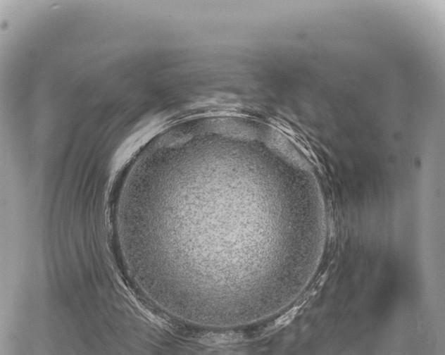 X0000065260245200602211257