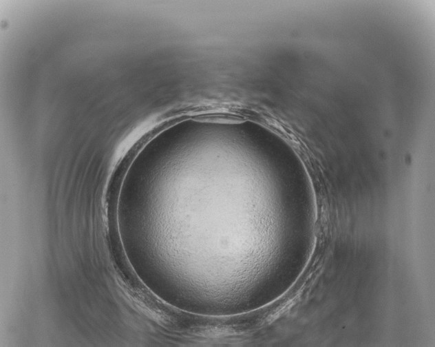 X0000065260246200602211257