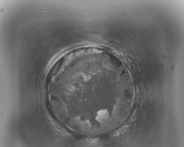 X0000065260247200602211257