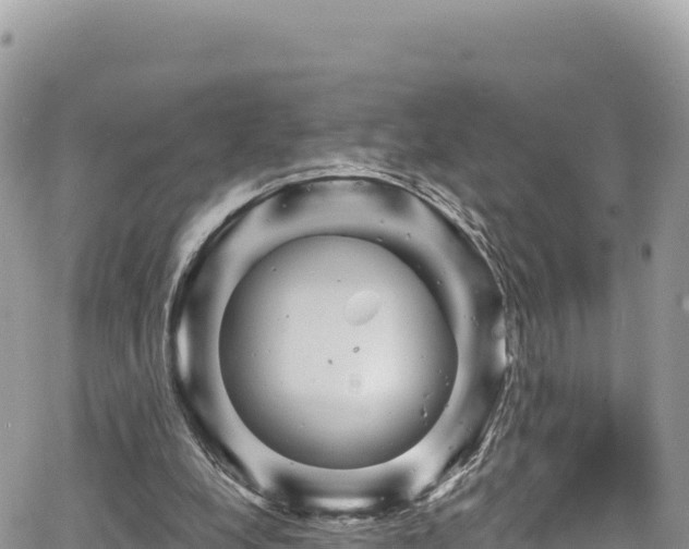 X0000065260248200602211257