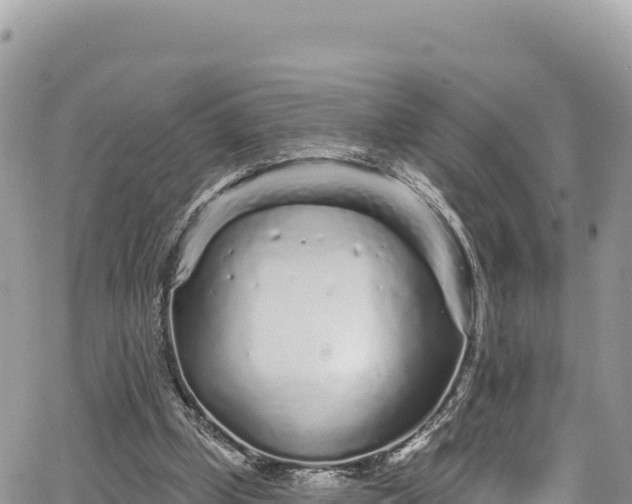 X0000065260249200602211257