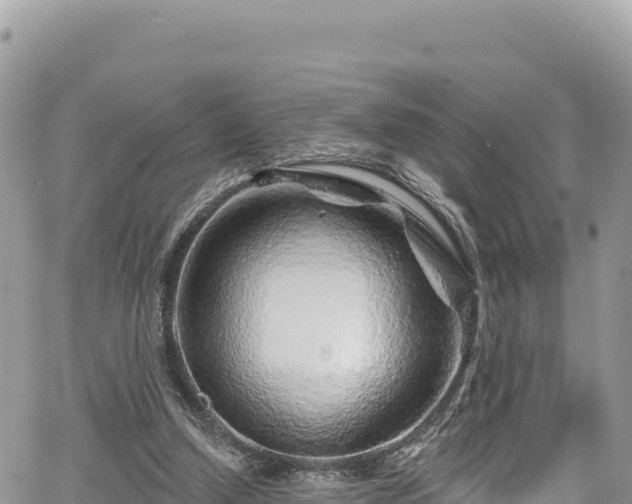 X0000065260250200602211257