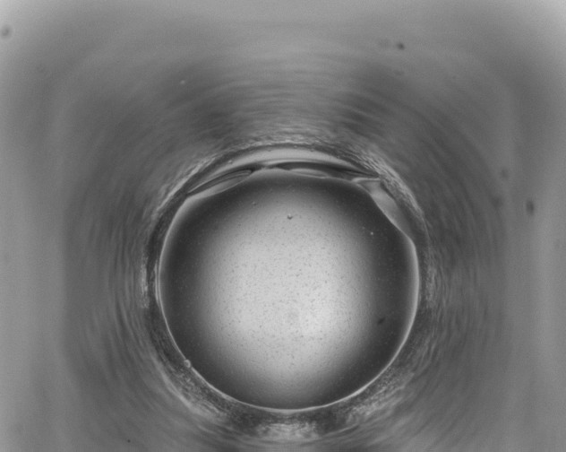 X0000065260251200602211257