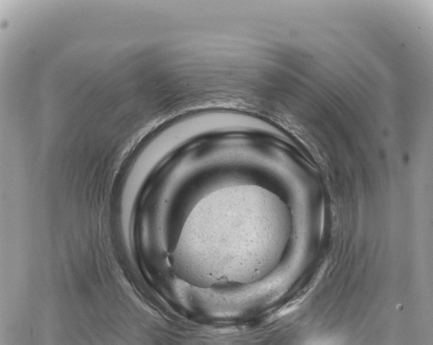 X0000065260252200602211257