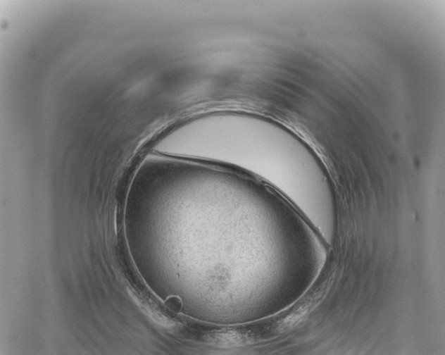 X0000065260253200602211257