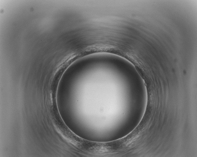 X0000065260254200602211257