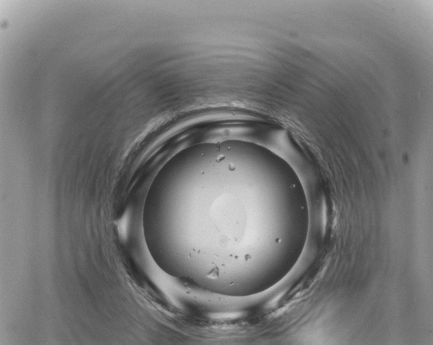 X0000065260256200602211257