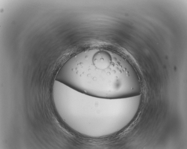 X0000065260257200602211257