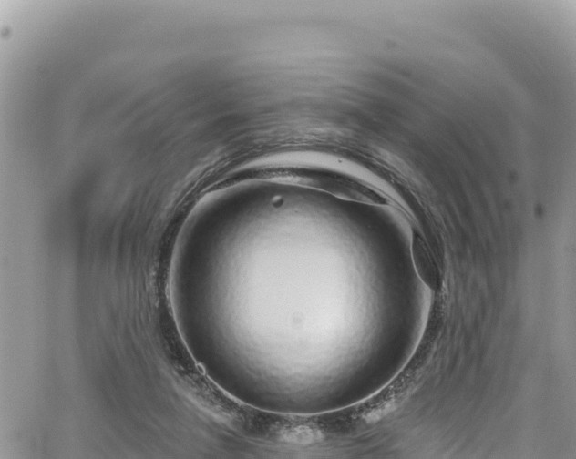 X0000065260258200602211257