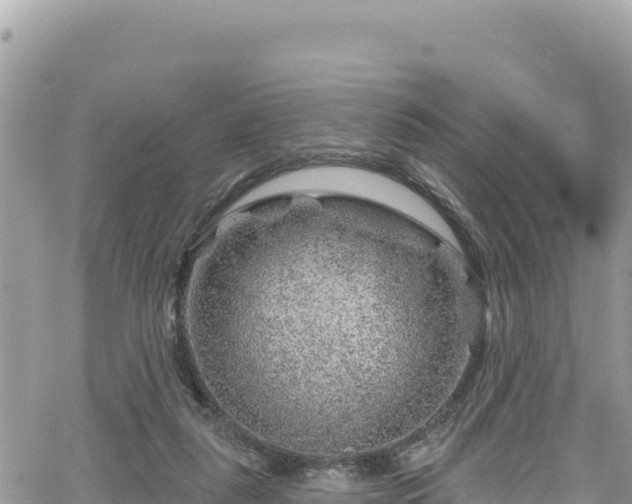 X0000065260259200602211257