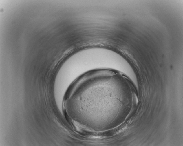 X0000065260260200602211257