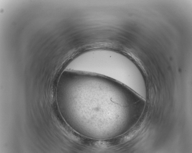 X0000065260261200602211257