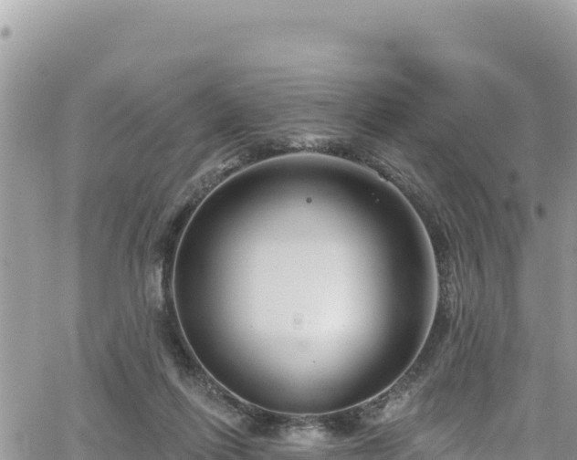 X0000065260262200602211257