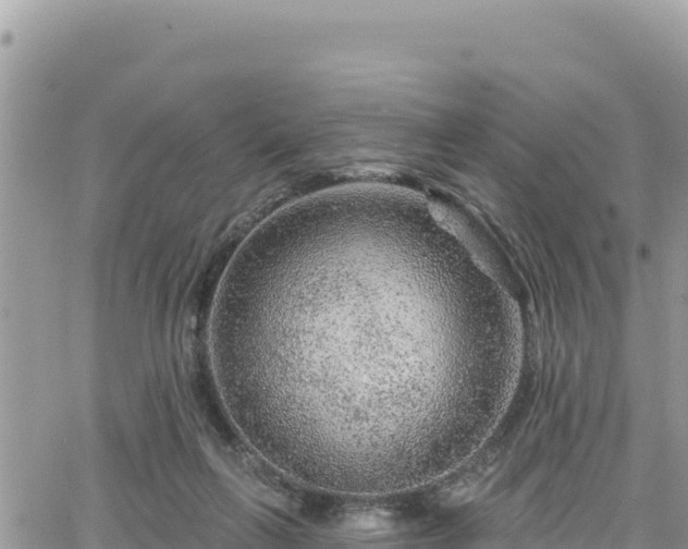 X0000065260263200602211257