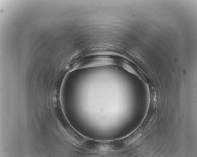 X0000065260264200602211257