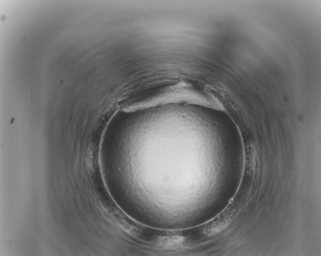 X0000065260266200602211257