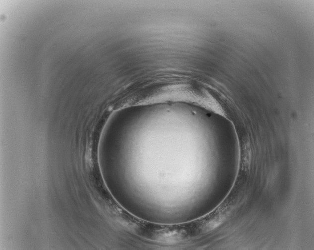 X0000065260267200602211257