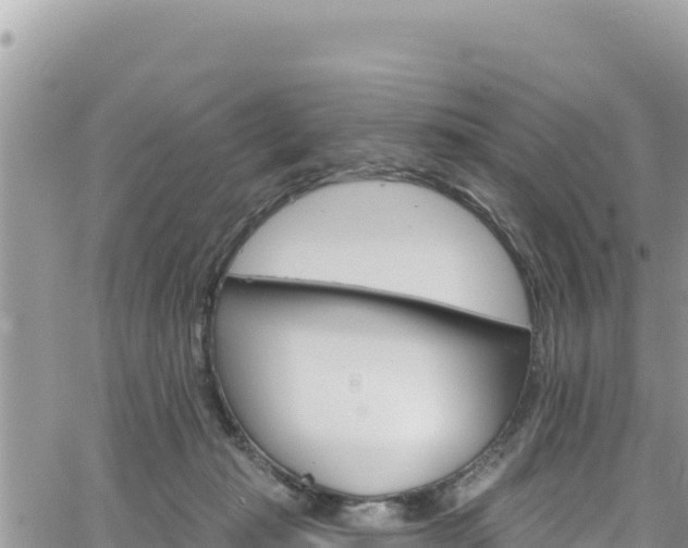 X0000065260269200602211257