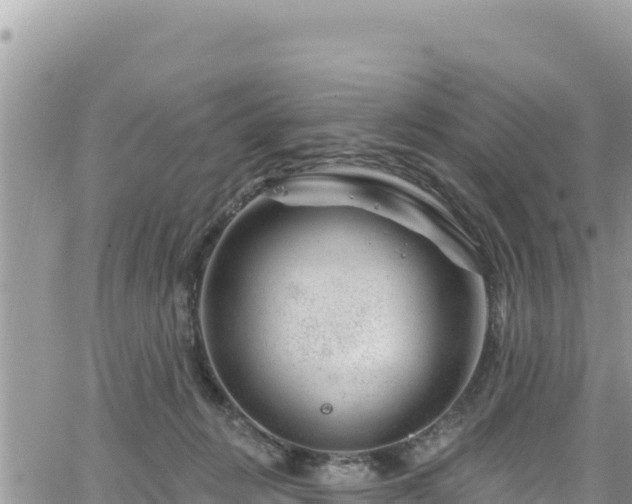 X0000065260270200602211257