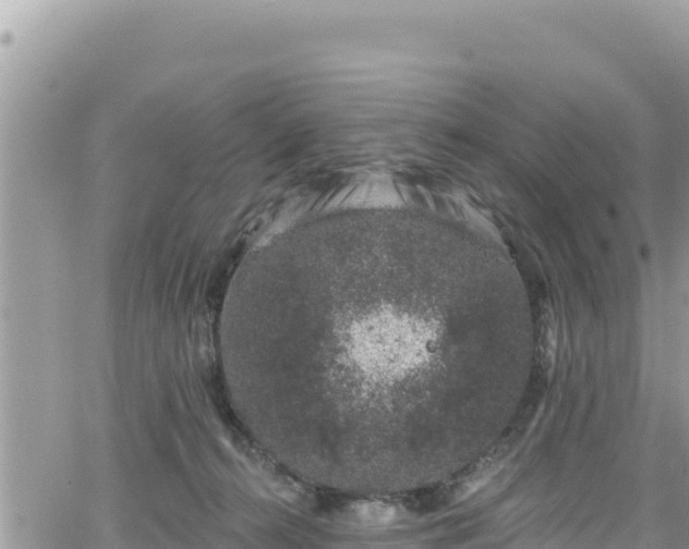 X0000065260272200602211257