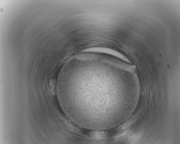 X0000065260273200602211257