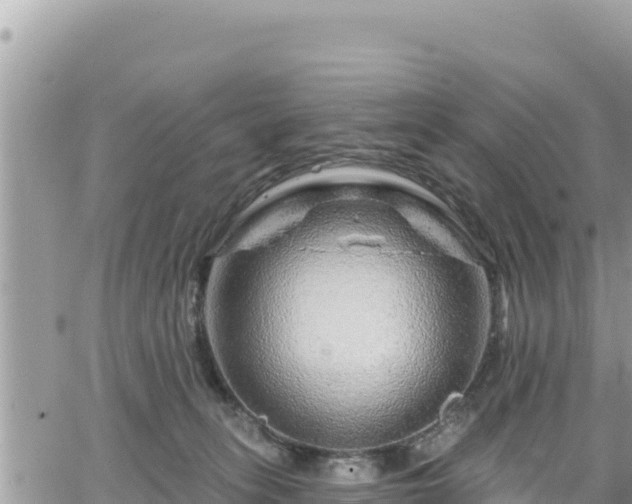 X0000065260275200602211257