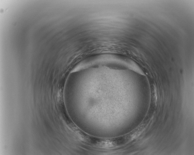 X0000065260276200602211257