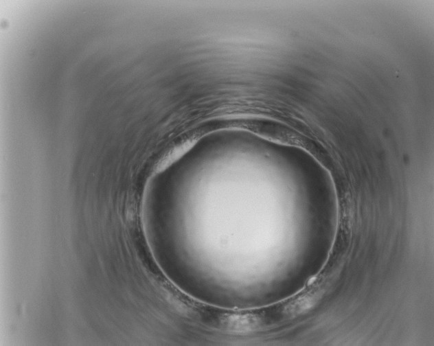 X0000065260277200602211257